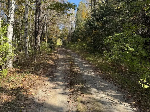 Lot 9-2 Lilly Drive, Newport, ME 04953