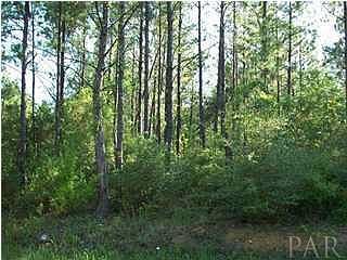 2nd image of LOT 23 Annie Penton Rd