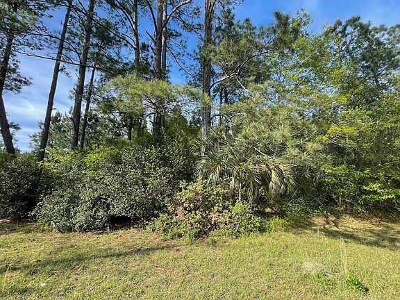 5th image of 7604 N Highway 501 Lot Wp001