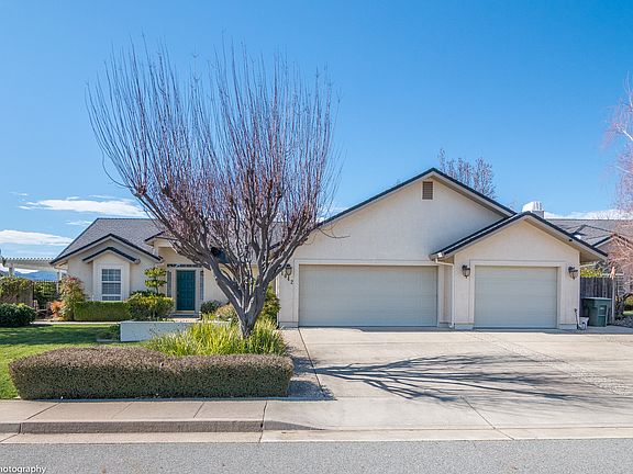 tree in full bloom soon