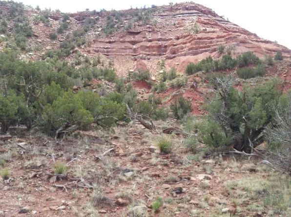 80 Sunset Trl, Newkirk, NM 88431