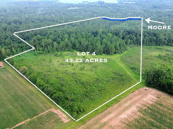 LOT 4 Mineral Springs Rd, Jay, FL 32565