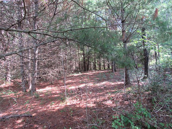2nd image of MR10 L17 & 18 Sandy River Road