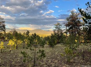 364 Muir Woods Trl #86, Hartsel, CO 80449