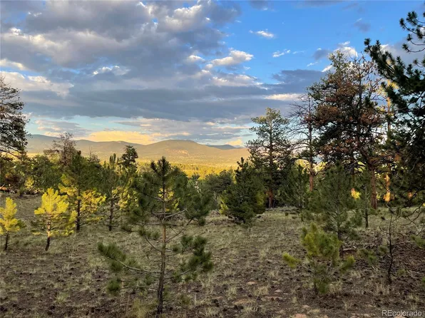 364 Muir Woods Trail LOT 086, Hartsel, CO 80449