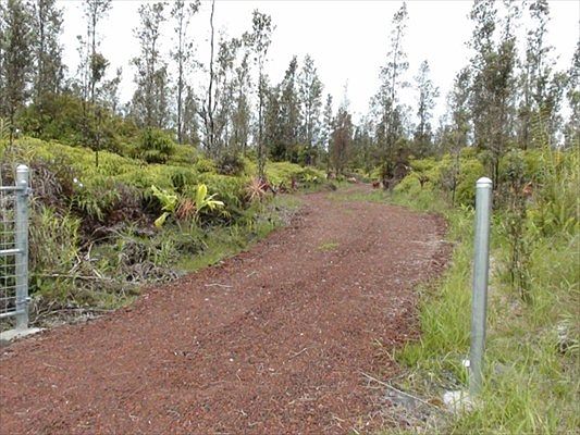 2nd image of Road 9 Koloa Maoli Lot 5402