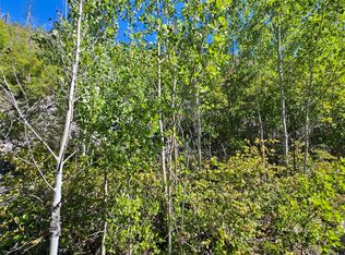 80 Upper Packer Gulch Rd, Drummond, MT 59832