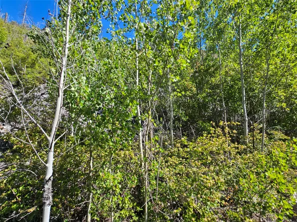 80 Upper Packer Gulch Rd, Drummond, MT 59832