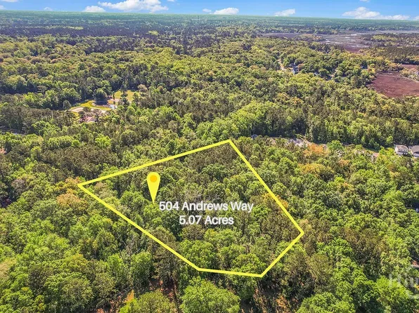 504 Andrews Way, Richmond Hill, GA 31324
