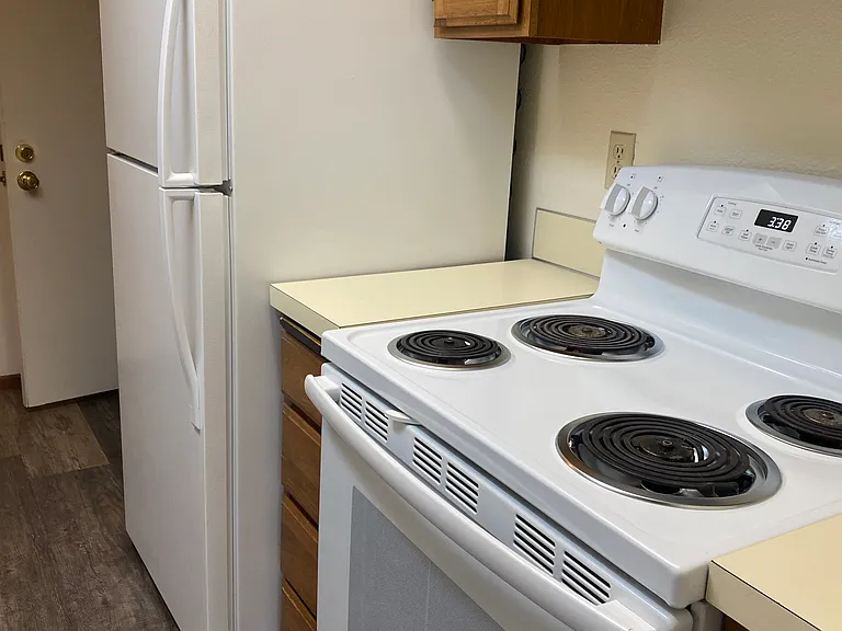 THE FORUM APARTMENTS — Photo 7