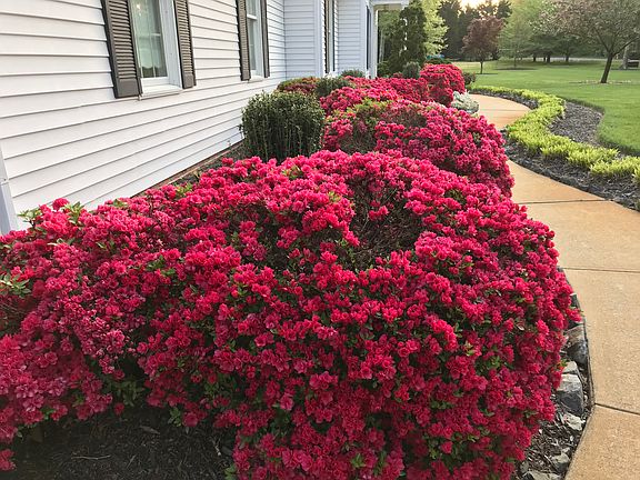 3rd image of 4115 Elk Creek Dr