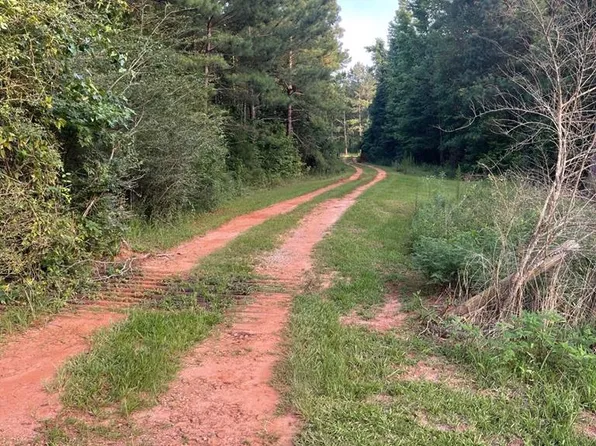 1344 County Road 3310, Brundidge, AL 36010