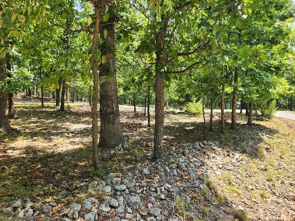1st image of Forrest Dr