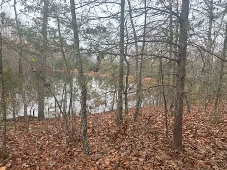 27880 County Road 362 — Photo 15