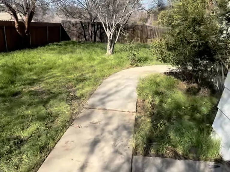 walk way to back yard