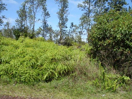 2nd image of 11th Ave Lot 1529
