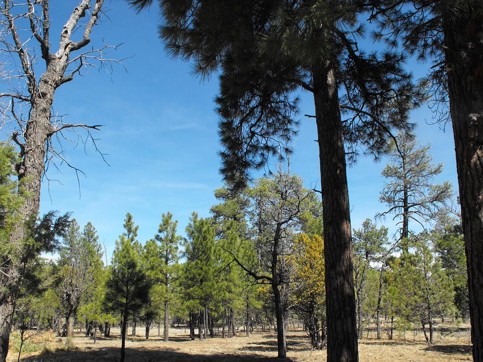 1st image of 2084 Sugar Pine Dr