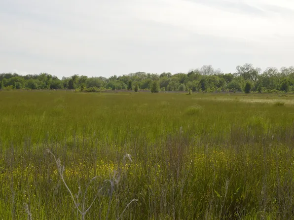 County Road 4502, Commerce, TX 75428
