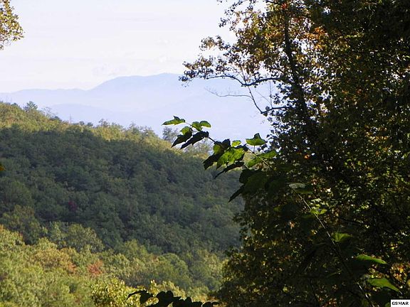 4th image of 25402538 Bluff Mountain Rd Lot 7 & 8
