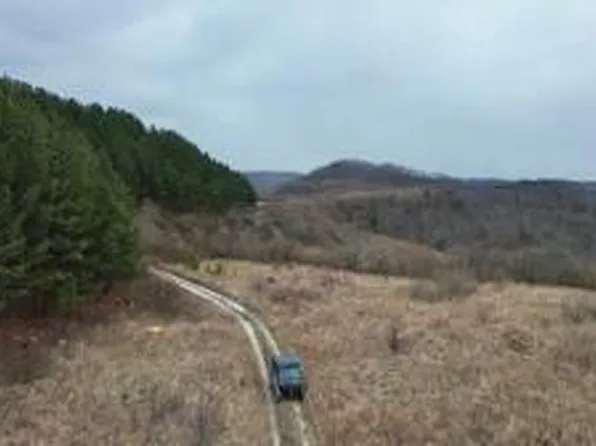 1439 N Wolf Creek Rd, Pilgrim, KY 41250