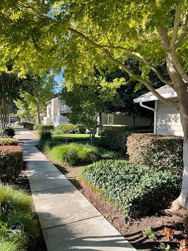 Westdale Commons Landscaping