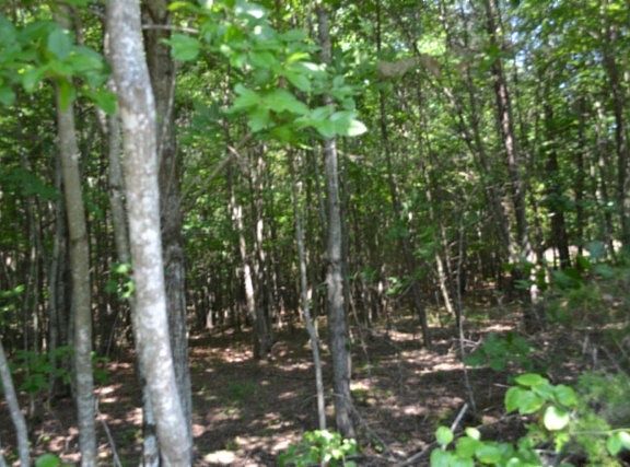5th image of 0 Topside Dr Lot 50