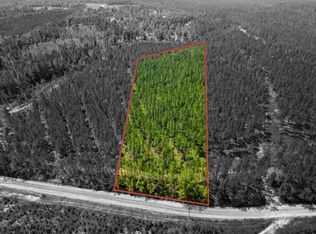 LOT 3 Robert Moore Rd, Enterprise, MS 39330