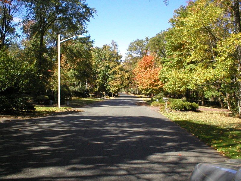 2nd image of 15 Clydesdale Rd
