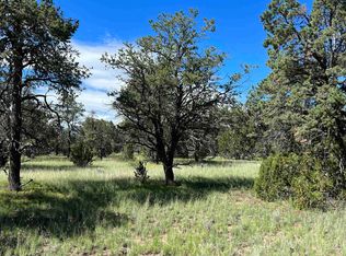 Dreamcatcher Dr, Fence Lake, NM 87315