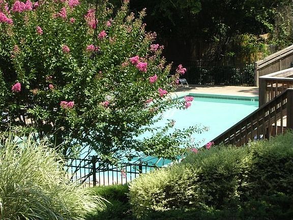 Great Pool and Sun Deck
