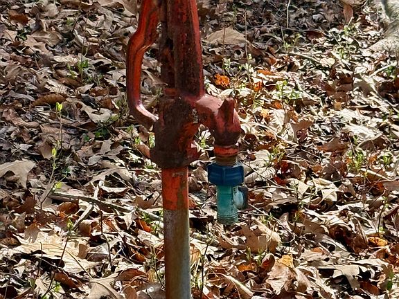 15th image of this home