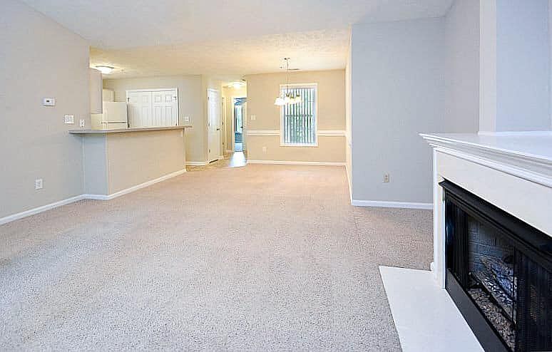 Living Room W/ Fireplace
