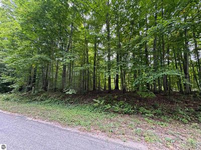 S Green Ct #28, Cedar, MI, 49621