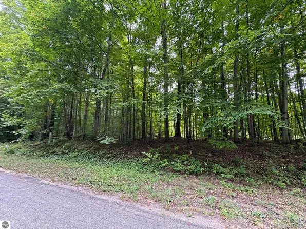 S Green Ct #28, Cedar, MI 49621