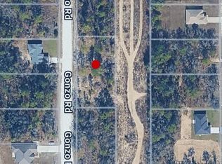 14498 GONZO ROAD LOT 4, WEEKI WACHEE, FL 34614