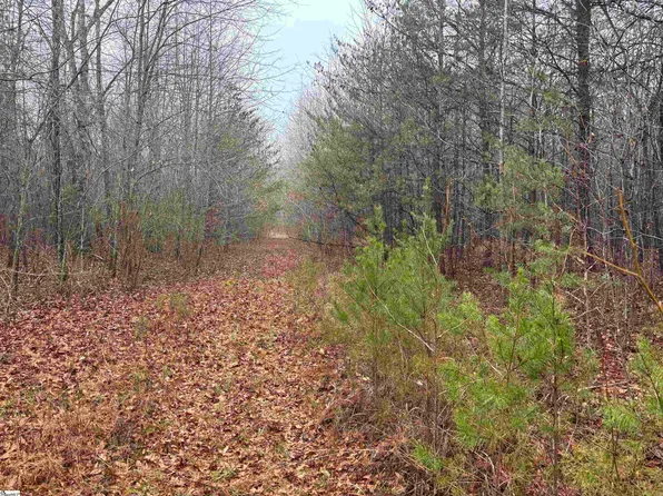 LOT Highway 414 #B, Landrum, SC 29356