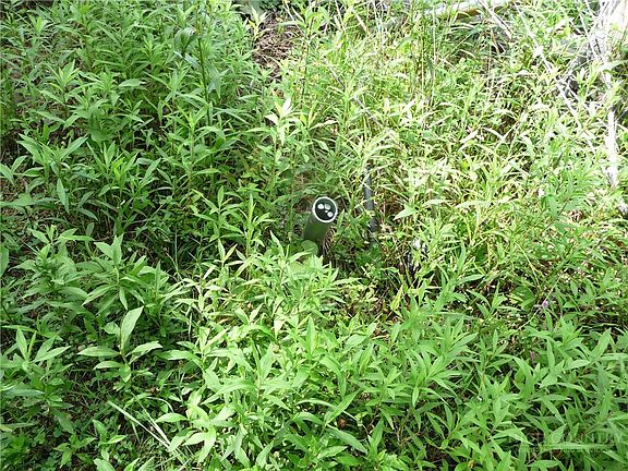 5th image of 870 Bairds Creek Road