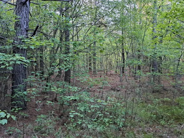 Airport Road Pca Lot 19, Rockwood, TN 37854