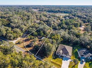 31060 Lochmore Cir, Mount Plymouth, FL 32776