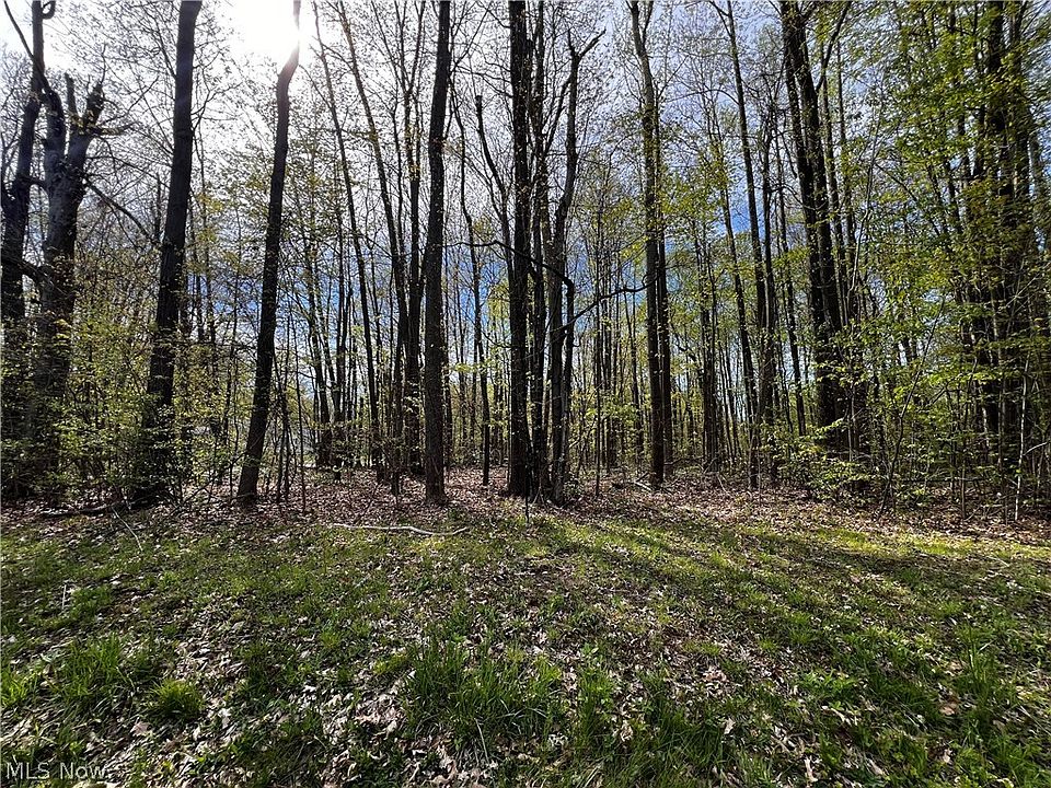 2nd image of 2154 Flame Lake Dr