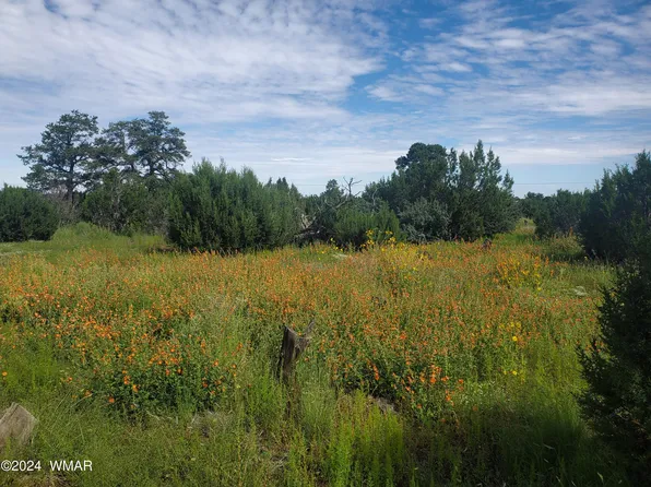 26 County Road 8405, Vernon, AZ 85940