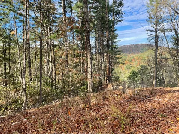 Bell Camp Ridge Rd, Blue Ridge, GA 30513