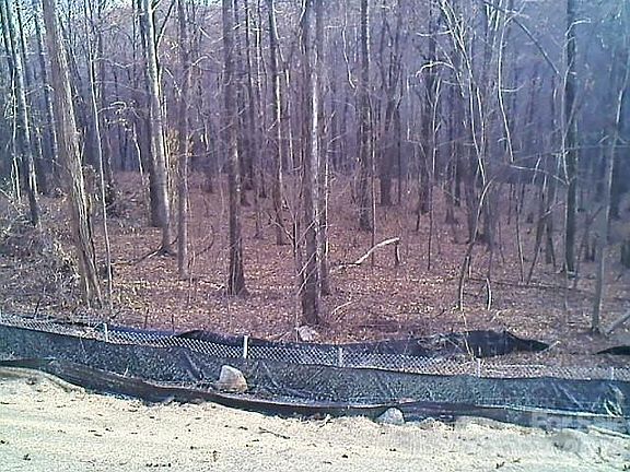 5th image of 246 Glen Ridge Trl