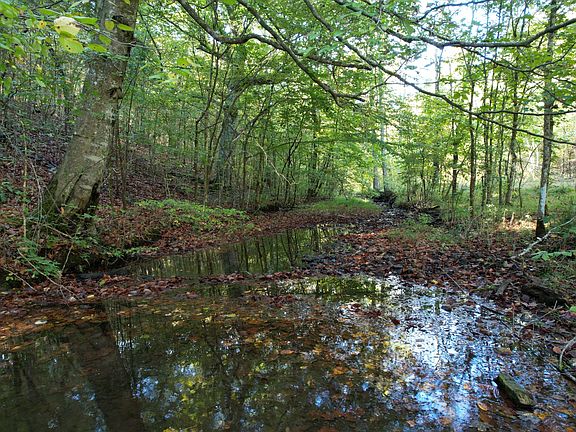 4th image of 2029 Sugar Ridge Rd