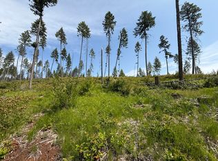 Rockabye Ln LOT 2, Curlew, WA 99118