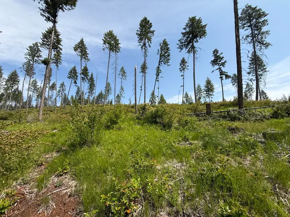 Rockabye Ln Lot 2, Curlew, WA 99118