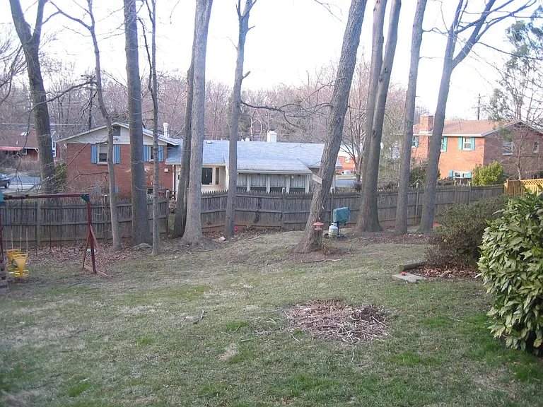 Fenced Backyard