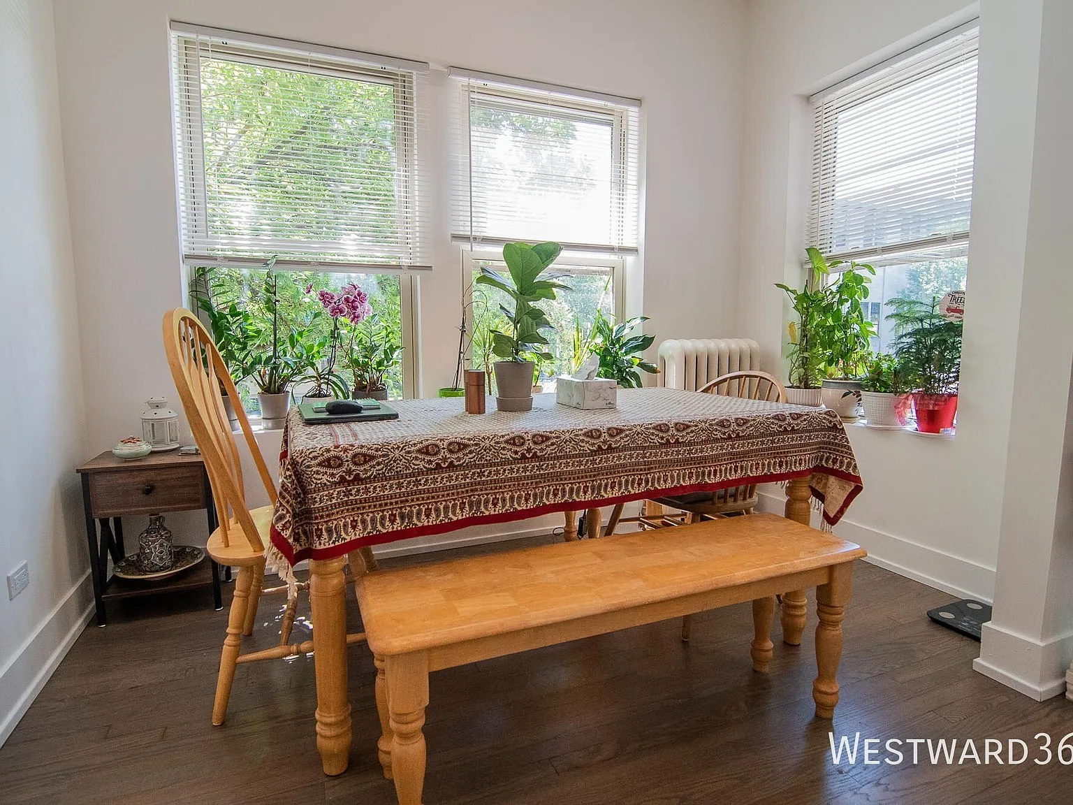 Available 10/1- Top Floor Corner 2bd/1bth With Wd — Photo 4