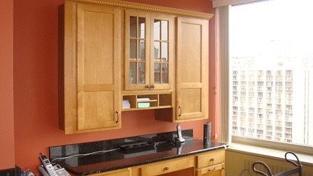 3rd image of 88 W Schiller St APT 2102L