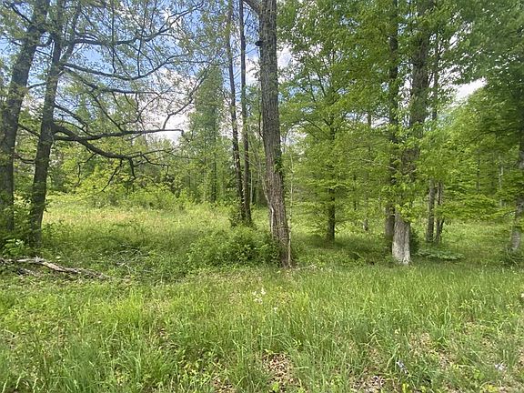 4th image of 4194 York Hwy